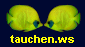 Taucher Tauchen Websites Tauch-Verzeichnis