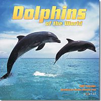 Kalender Delfine 2006