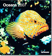Kalender Oceans 2006
