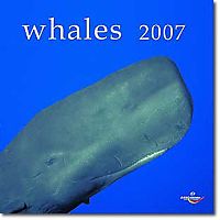 Kalender Wale 2006