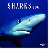 Haifische Sharks 2006