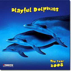 Kalender 2008 - Playful Dolphins