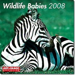 Kalender 2006 Wildlife Babies