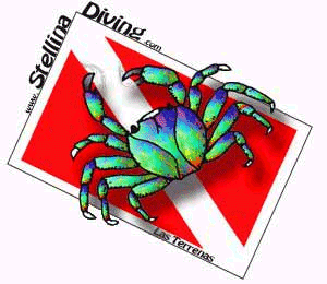 Tauchen mit Stellina Diving, Las Terrenas, Samana, Dom Rep