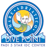 Dive Point
