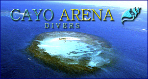 Cayo Arena Divers - Gruppen und Individualtauchreisen in die Karibik