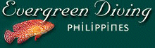 Evergreen Diving Resort - Tauchen Philippinen