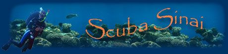 Scuba Sinai