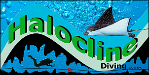 Halocline Diving