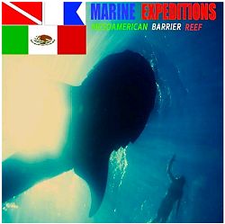 Marine-Expeditions