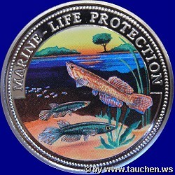 Somalia 1999 10 Dollar - Meeresleben - Marine Life Protection