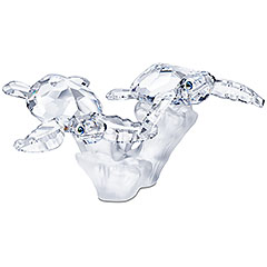 Meeresschildkr�ten-Babys