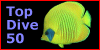  TopDive 50 