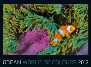 Kalender: Ocean - World of Colours 