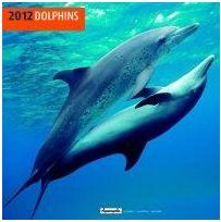Kalender: Delfine / Dolphins Broschürenkalender 