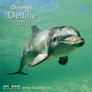 Kalender: Delfine Broschürenkalender