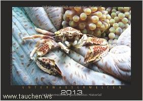 Kalender: Unterwasserwelten