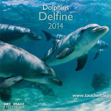 Kalender: Delfine Broschürenkalender