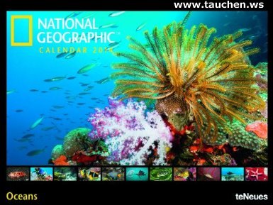 Kalender: National Geographic Oceans Calendar 