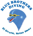 Blue Brothers Diving