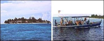 Maayafushi - Maayafushi Divecenter