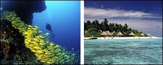 Thulhagiri - Sub Aqua Diving Center