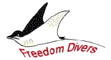 Freedom - Divers