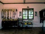 Amontillado Dive Center