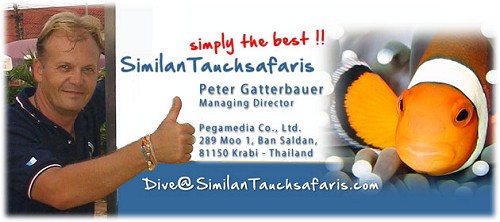 SimilanTauchsafaris simply the best