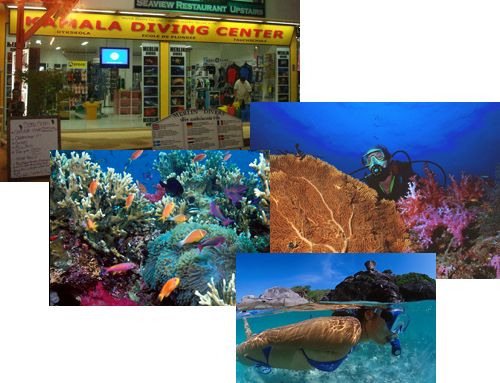 Phuket Tauchen - Merlin Divers - Kamala Tauchschule