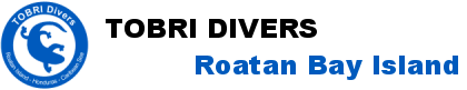 Tobri Divers