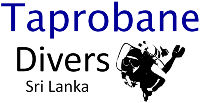Taprobane Divers