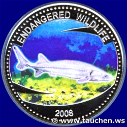 Palau 2008 1 Dollar - Endangered Wildlife, Chinese Sturgeon (Chinesischer Stör)