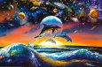 Dolphin Universe