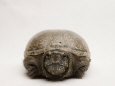 Mississippi Mud Turtle, Kinosternon Subrubrum Hippocrepis