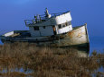Wreck of the Point Reyes in Tomales Bay, California