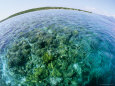 Fish-Eye View of Clear Water over Reef off of Bunaken Island