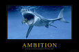 Ambition