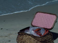 Romantic Picnic Basket on Beach