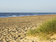 Beach, Southwold, Suffolk, England, United Kingdom
