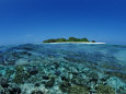 Corals in Shallow Water, Maldives, Indian Ocean, Meemu Atoll