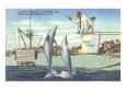Jumping Porpoises, Marineland, Florida