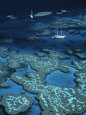 Great Barrier Reef, Queensland, Australia