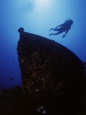 Diver Swimming Above Shipwreck