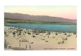 Beach Scene, Santa Barbara, California