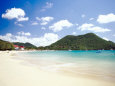 A Tropical Beach