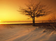 Waukegan Beach, IL