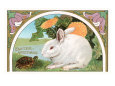 Easter Greetings, Rabbit and Turtle