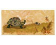 Turtle from Over in the Meadow