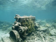 An Encrusted Diesel Engine Sits on the Ocean Floor